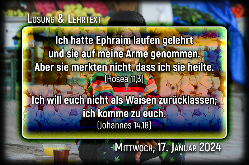 Losung und Lehrtext für Mittwoch, den 17. Januar 2024