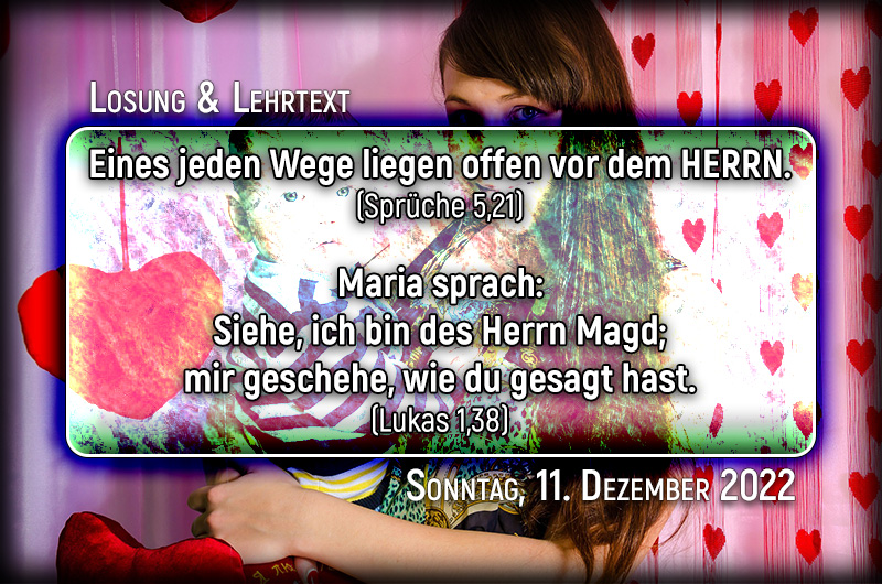 Losung & Lehrtext für den 11. Dezember 2022