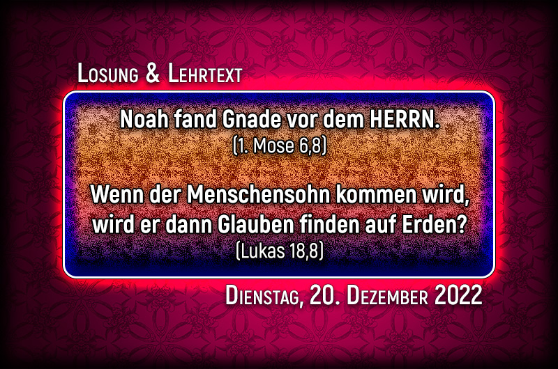 Losung & Lehrtext für den 20. Dezember 2022