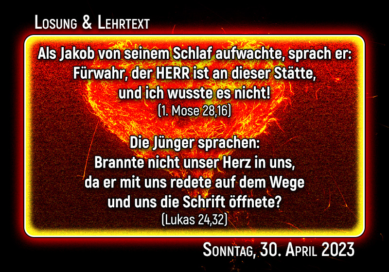 Losung & Lehrtext als Grafik für Sonntag, den 30. April 2023