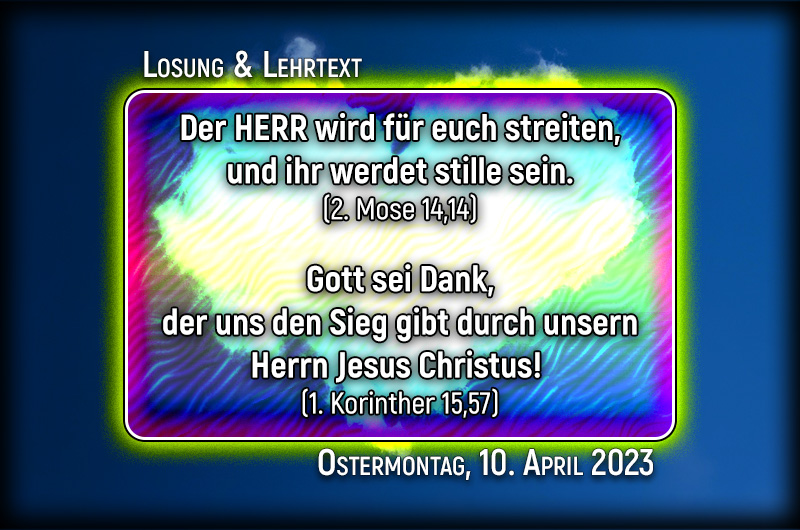 Losungsgrafik Special