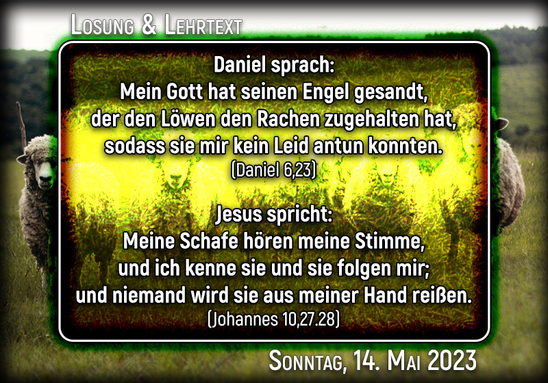 Losung & Lehrtext für Sonntag, den 14. Mai 2023