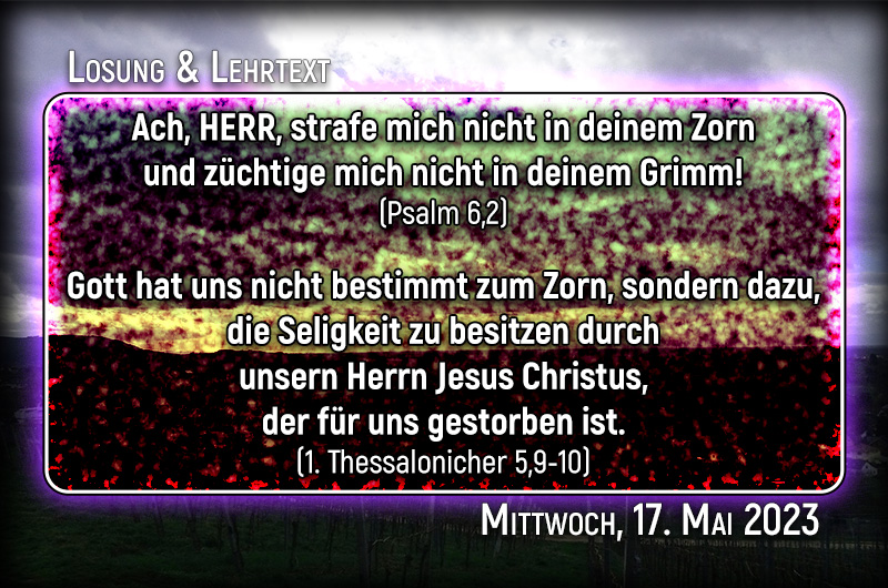 Losung & Lehrtext für Mittwoch, den 17. Mai 2023