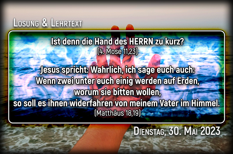 Losung & Lehrtext für Dienstag, den 30. Mai 2023