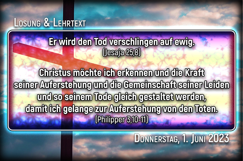 Losung & Lehrtext für Donnerstag, den 1. Juni 2023