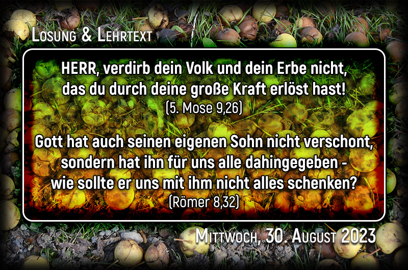 Losung und Lehrtext für Mittwoch, den 30. August 2023